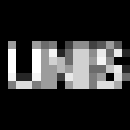 유니스